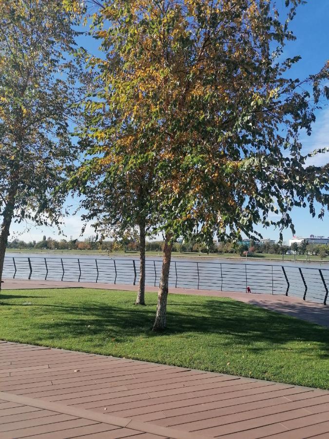 Belgrade Waterfront Cozy Symphony 1 Leilighet Sajmiste Eksteriør bilde